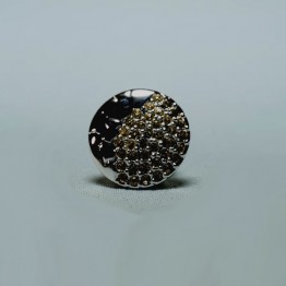 Pin Tijger 2010 